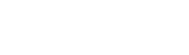 大島椿
